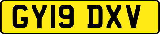 GY19DXV