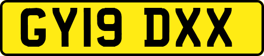 GY19DXX