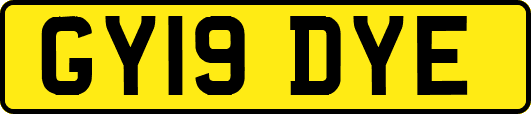 GY19DYE