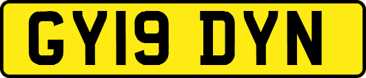 GY19DYN