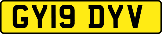 GY19DYV