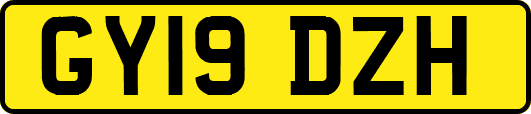 GY19DZH