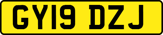 GY19DZJ