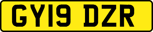 GY19DZR