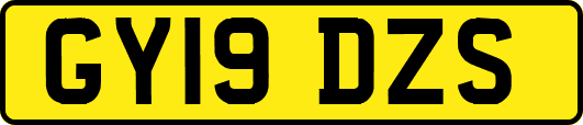 GY19DZS