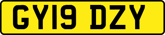 GY19DZY