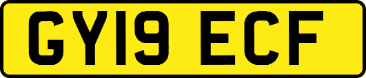 GY19ECF