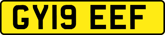 GY19EEF