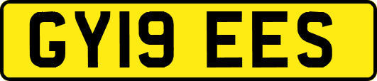 GY19EES