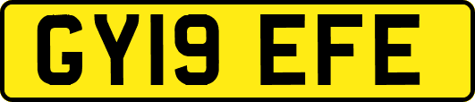 GY19EFE