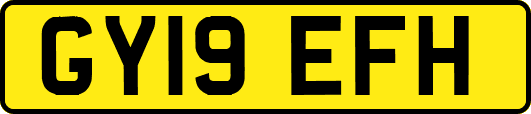 GY19EFH