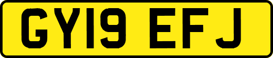 GY19EFJ