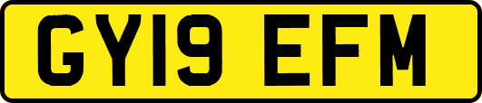 GY19EFM
