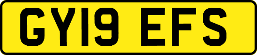 GY19EFS