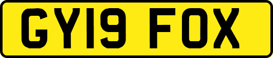 GY19FOX