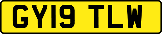 GY19TLW