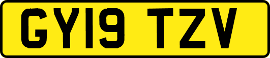 GY19TZV