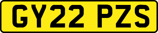 GY22PZS
