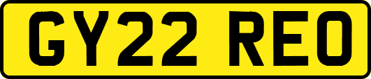 GY22REO