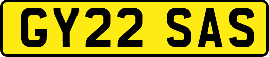 GY22SAS