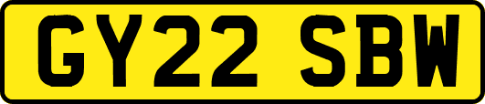 GY22SBW