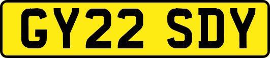 GY22SDY
