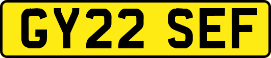 GY22SEF
