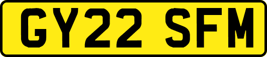 GY22SFM