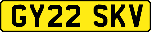 GY22SKV