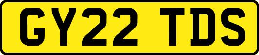 GY22TDS