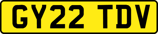 GY22TDV