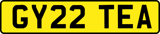 GY22TEA