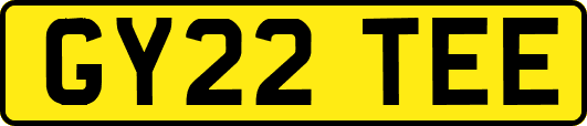 GY22TEE