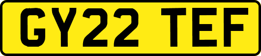 GY22TEF