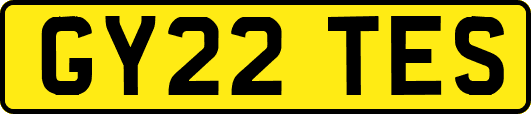 GY22TES