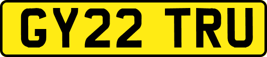 GY22TRU