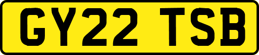 GY22TSB