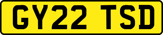 GY22TSD