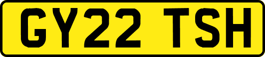 GY22TSH