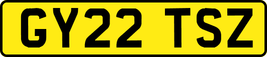GY22TSZ