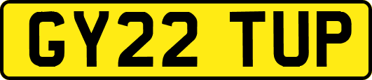 GY22TUP