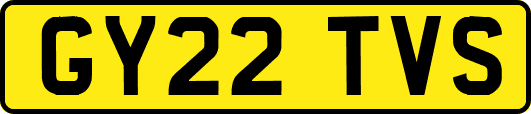 GY22TVS