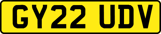 GY22UDV