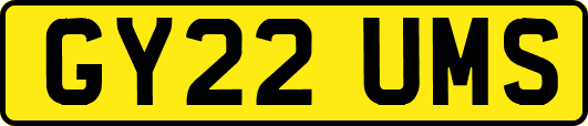 GY22UMS