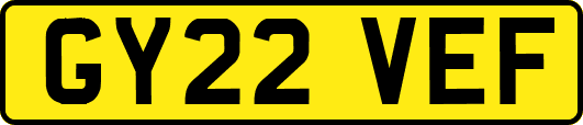 GY22VEF