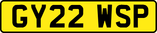 GY22WSP