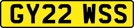 GY22WSS