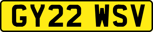 GY22WSV