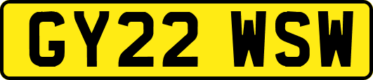 GY22WSW