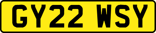 GY22WSY